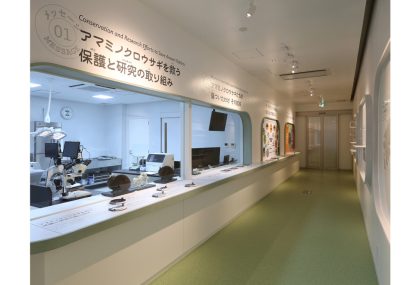 QuruGuru アマミノクロウサギミュージアムくるぐる – 大和村